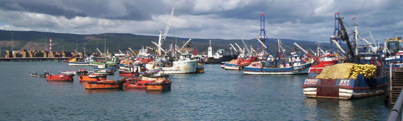 Memorias Mercantes (Patrón de Pesca de Alta Mar de 1° Clase)